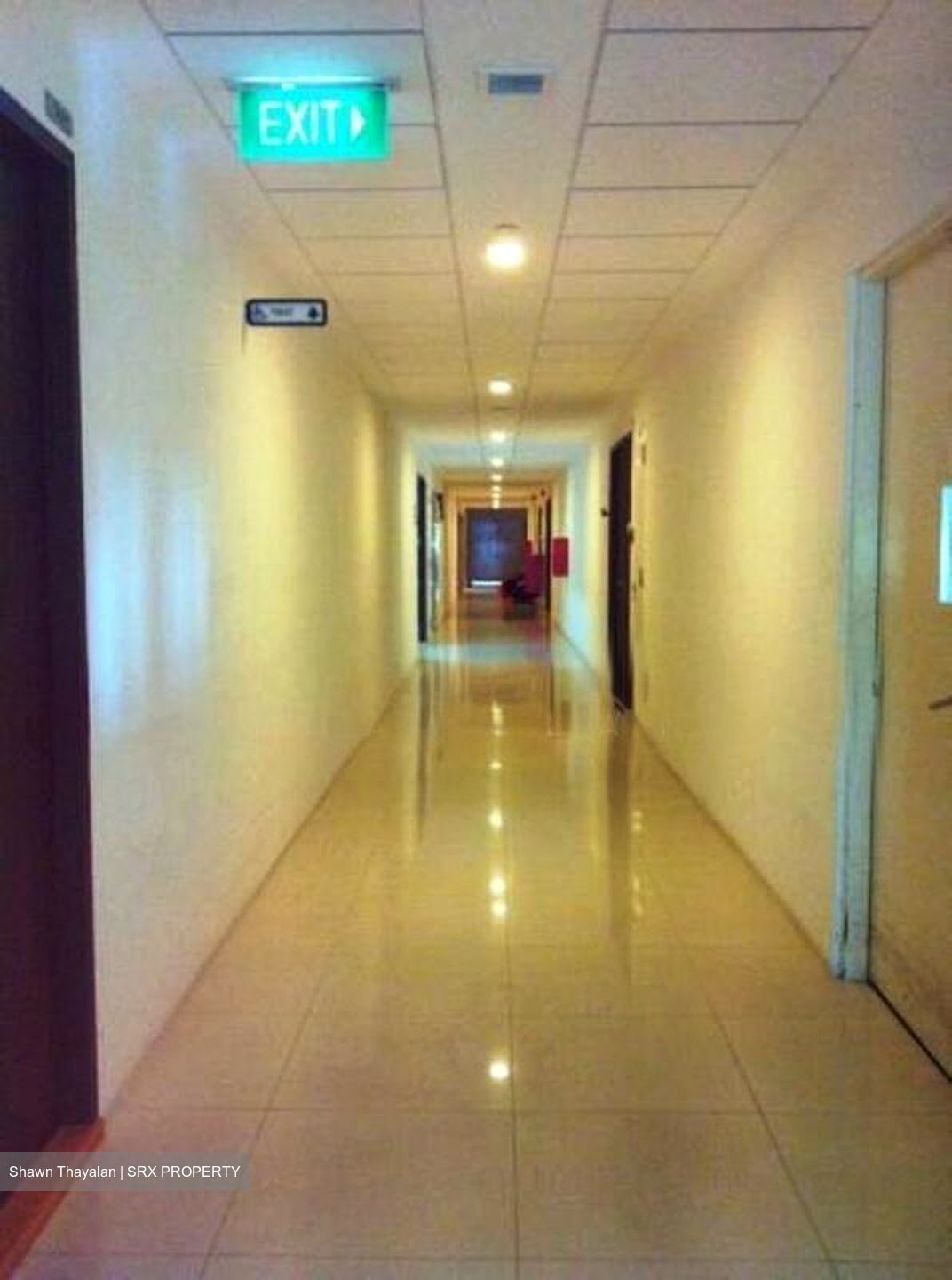 Vertex (D14), Factory #504167351